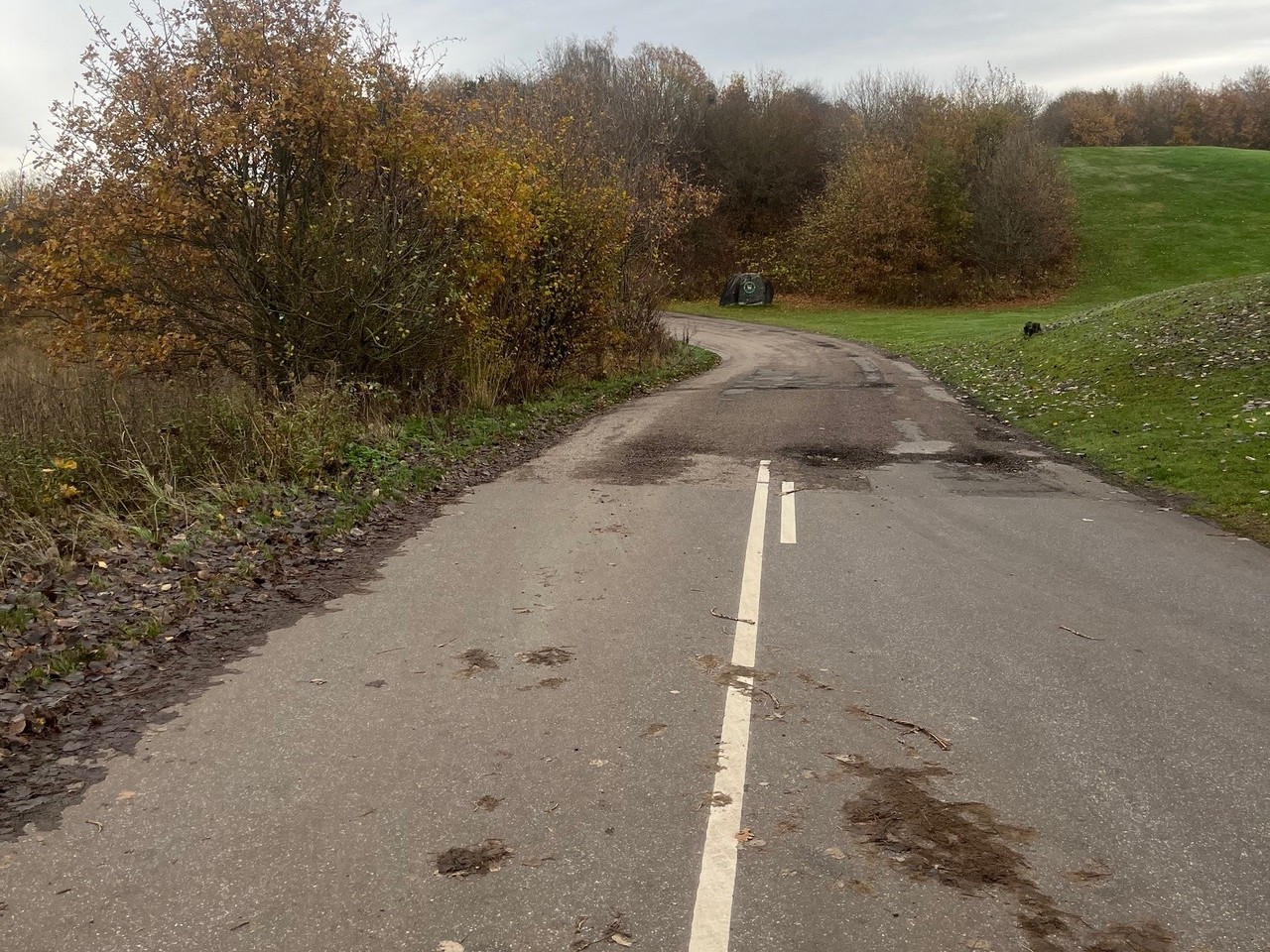 850a9b7a 86a0 4f95 Ab52 B013cc2c43f6