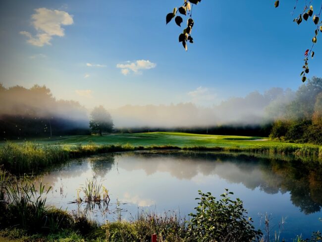 A49bf4ba 4056 4386 A4d4 Bf1f54be1302